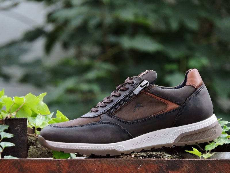 FLUCHOS (1603) Couleur : Marron